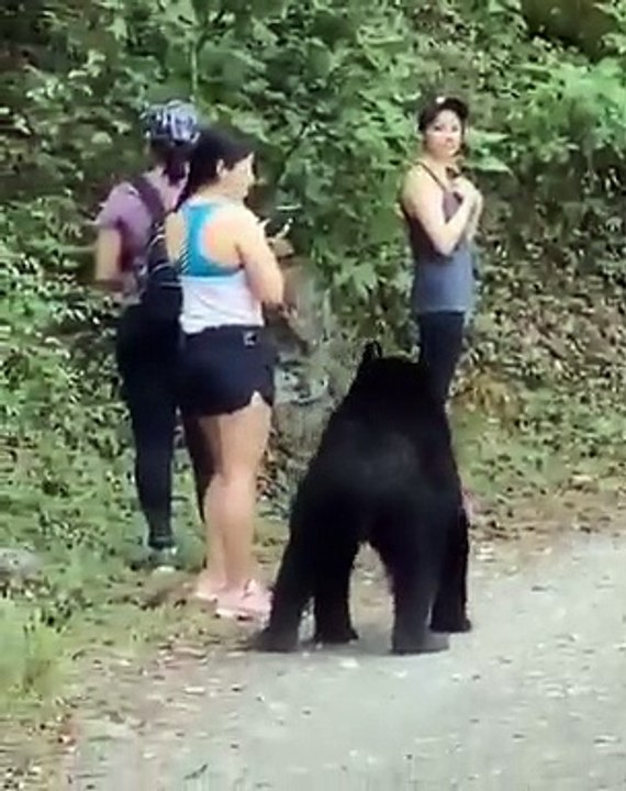 L’ours les a approché de très près, heureusement qu’elles ont pu garder leur calme malgré leur peur