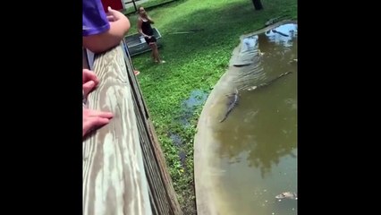 Une femme et son enfant dans un enclos à alligators