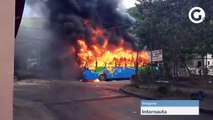 Ônibus do Transcol é incendiado em bairro de Viana