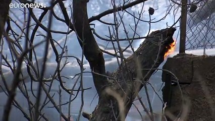 Εισαγγελική παρέμβαση για τη φονική πυρκαγιά στο Μάτι- Η αντίδραση της Όλ. Γεροβασίλη