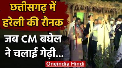 Chhattisgarh CM Bhupesh Baghel ने मनाया Hareli Festival,गोधन न्याय योजना की शुरुआत | वनइंडिया हिंदी