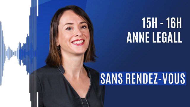 Vives, oursins, méduses : comment réagir après une piqûre sur la plage ?