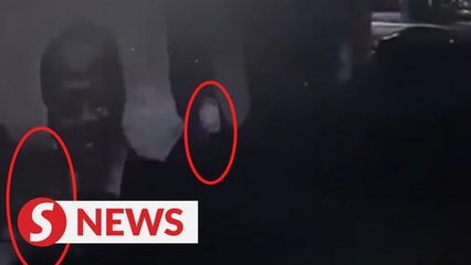 Mural vandals caught in the act in viral video