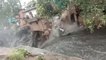 Building collapses as flooding sweeps through India