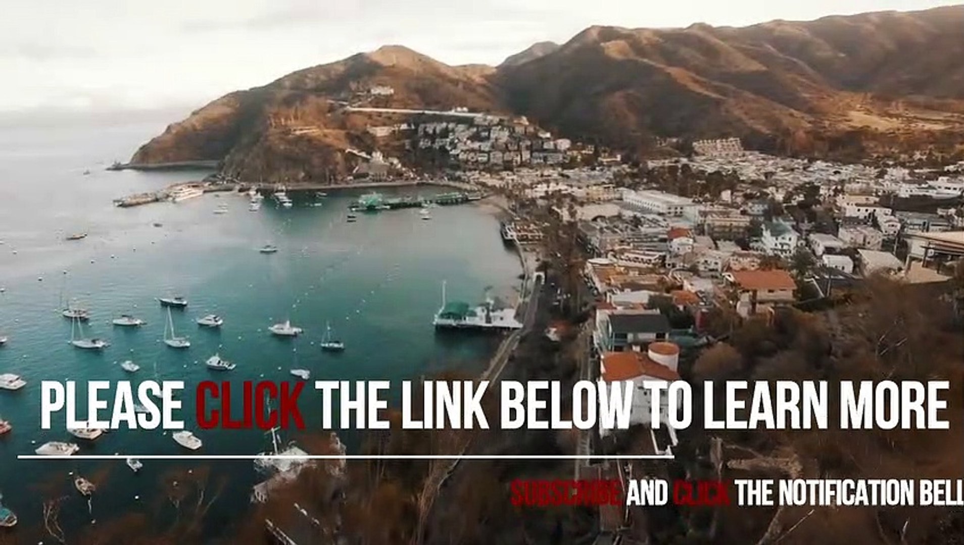 ⁣Learn How To Build Internet Business