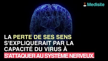 Covid-19 : pourquoi perd-on le goût et l'odorat ?