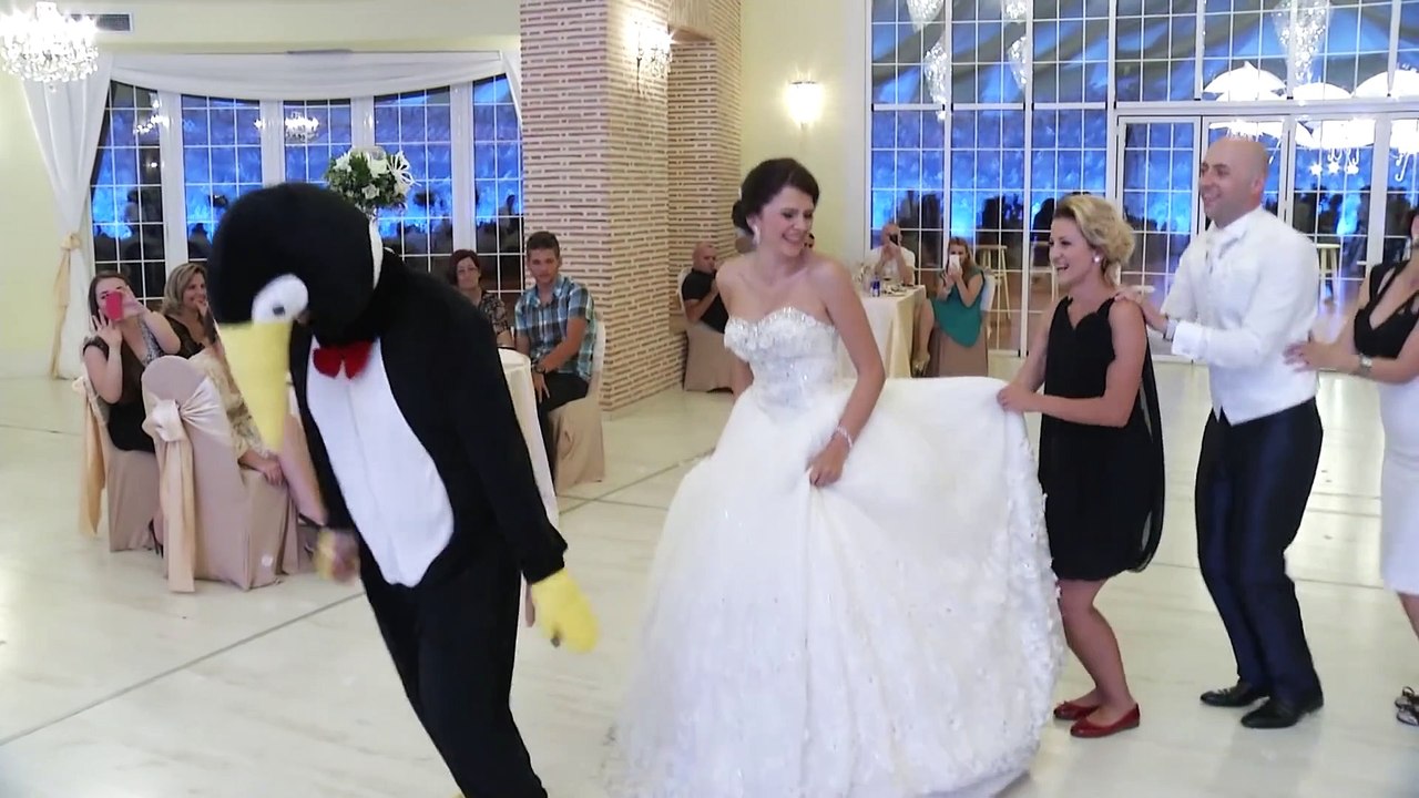 PENGUINE DANCE ALBANIA