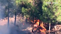 Şanlıurfa'da çıkan orman yangını kontrol altına alınmaya çalışılıyor