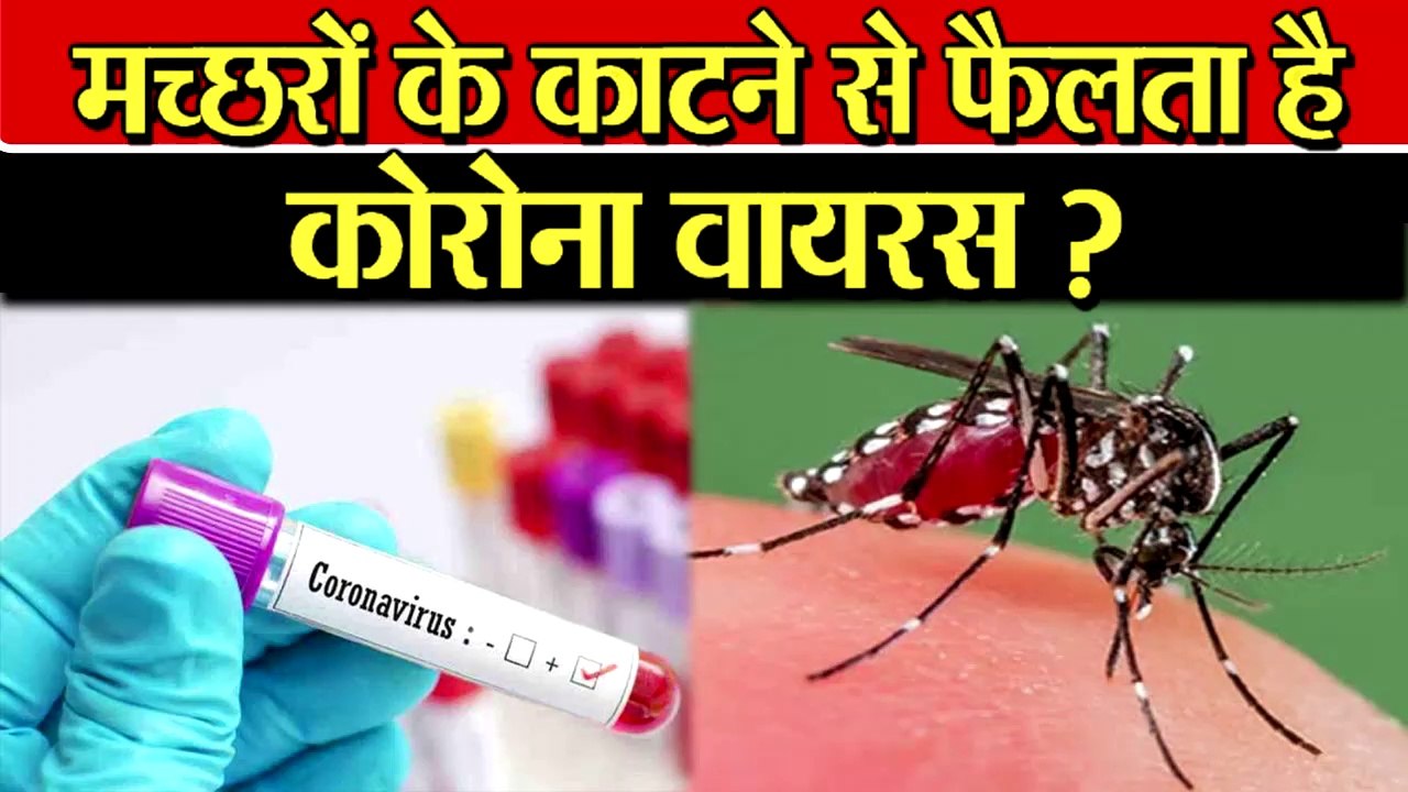 क्या मच्छरों के काटने से फैलता है कोरोना वायरस ? DOES MOSQUITO BITE MAKES YOU CORONA POSITIVE ?