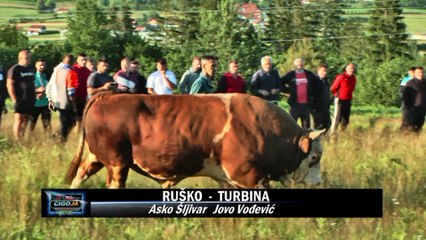 RUSKO TURBINA PODBRDO 2020