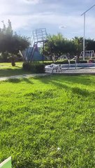 Bulldog Blindsided by Bucket