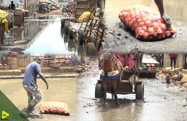 Reportage-Immersion : Quand la saleté dicte sa loi au marché de légumes de Thiaroye