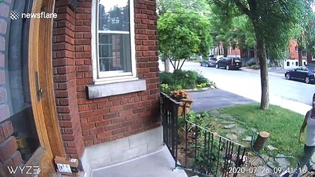 Montreal bandit steals Amazon package from front porch