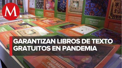 Download Video: Pese a covid-19, entrega de libros de texto gratuitos está garantizada: Conaliteg