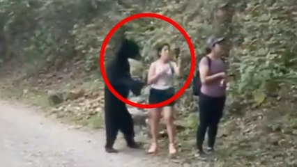 Oso sorprende a excursionistas en parque de Nuevo León