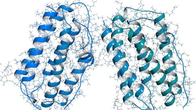 Protein Used To Treat MS, Asthma Shows Promise In Treating COVID-19