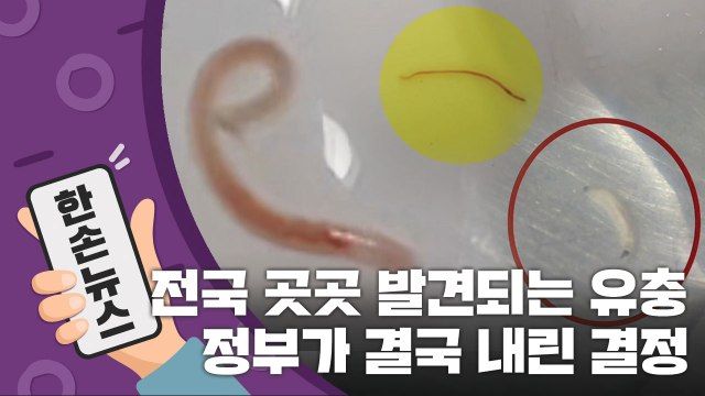 [15초 뉴스] 전국 곳곳서 발견되는 유충...정부가 내린 결정 / YTN