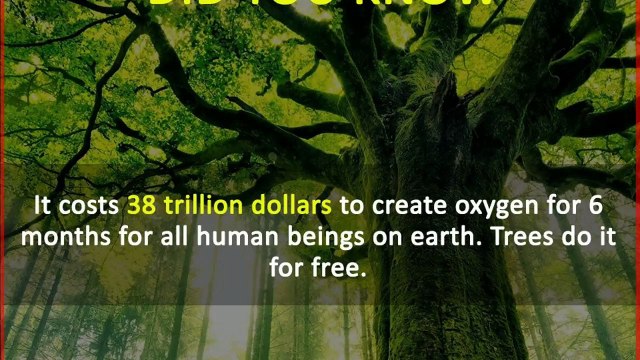 DID YOU KNOW THESE AMAZING FACTS