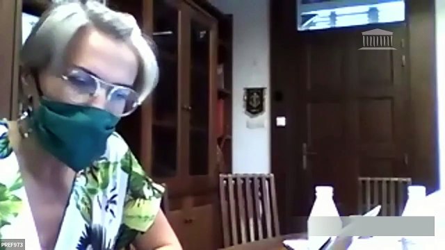 Délégation aux outre-mer : Audition relative à la situation sanitaire et économique en Guyane - Lundi 20 juillet 2020