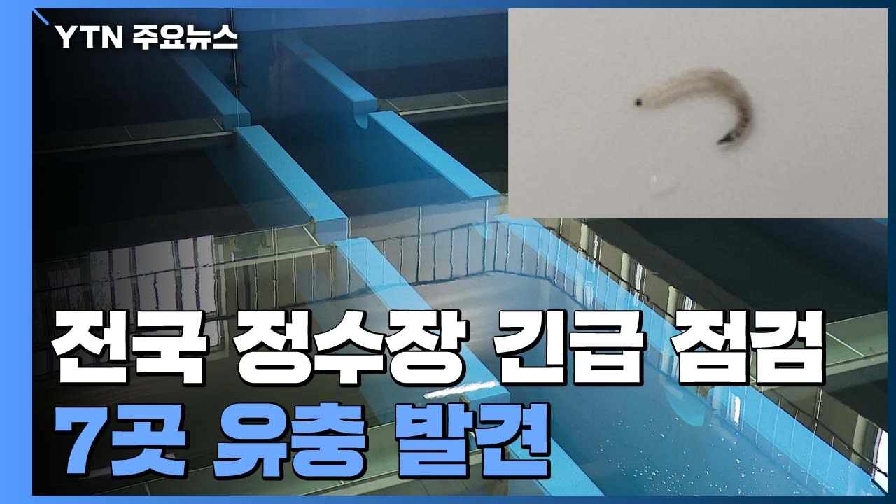 전국 7곳 정수장에서 유충 발견...전국 정수장 긴급점검 결과 / YTN