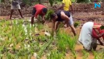 Salman Khan enjoys farm life, shares video of planting rice saplings, watch