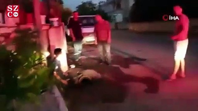 Hatay’da boru içinde mahsur kalan yavru köpek kurtarıldı