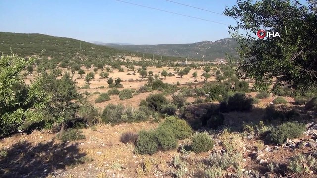 Kayıp Pınar’ın cansız bedeni ormanlık alanda bulundu