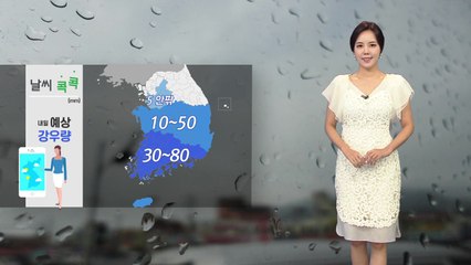 [날씨] 내일 대서...충청 이남 장맛비 / YTN