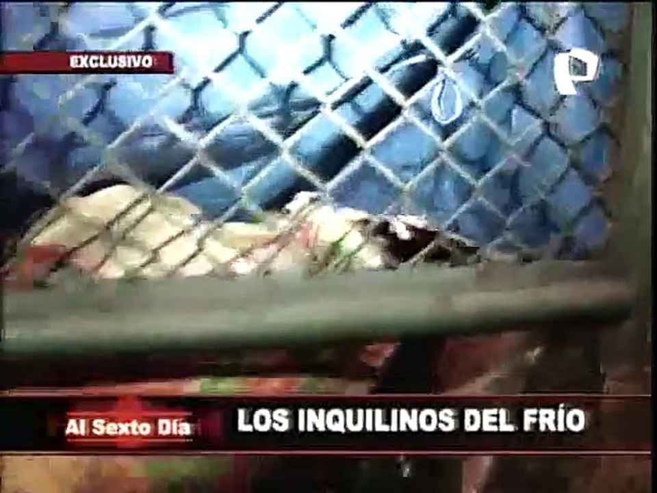 Los inquilinos del frío: huéspedes del crudo invierno limeño