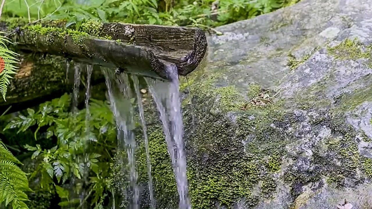 Meditation music: Relaxation and stress reliever music , healing sounds,zen meditation