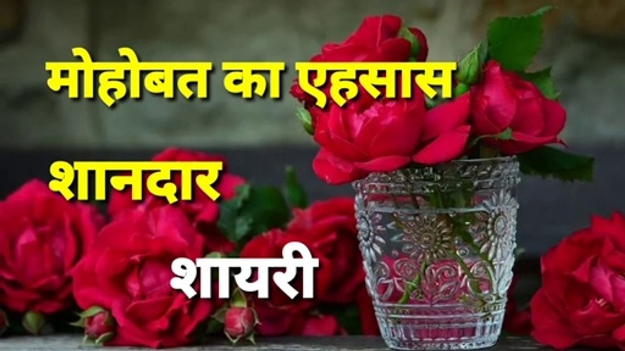 Love shayari - love shayari status