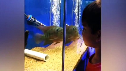 funny latest compilation | tiktok | tiktok Videos | Funny tiktok video | tiktok 2020 must watch | series video 1 | ❤❤