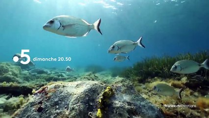 [BA] Les 100 lieux qu’il faut voir - Le Golfe du Lion - 26/07/2020