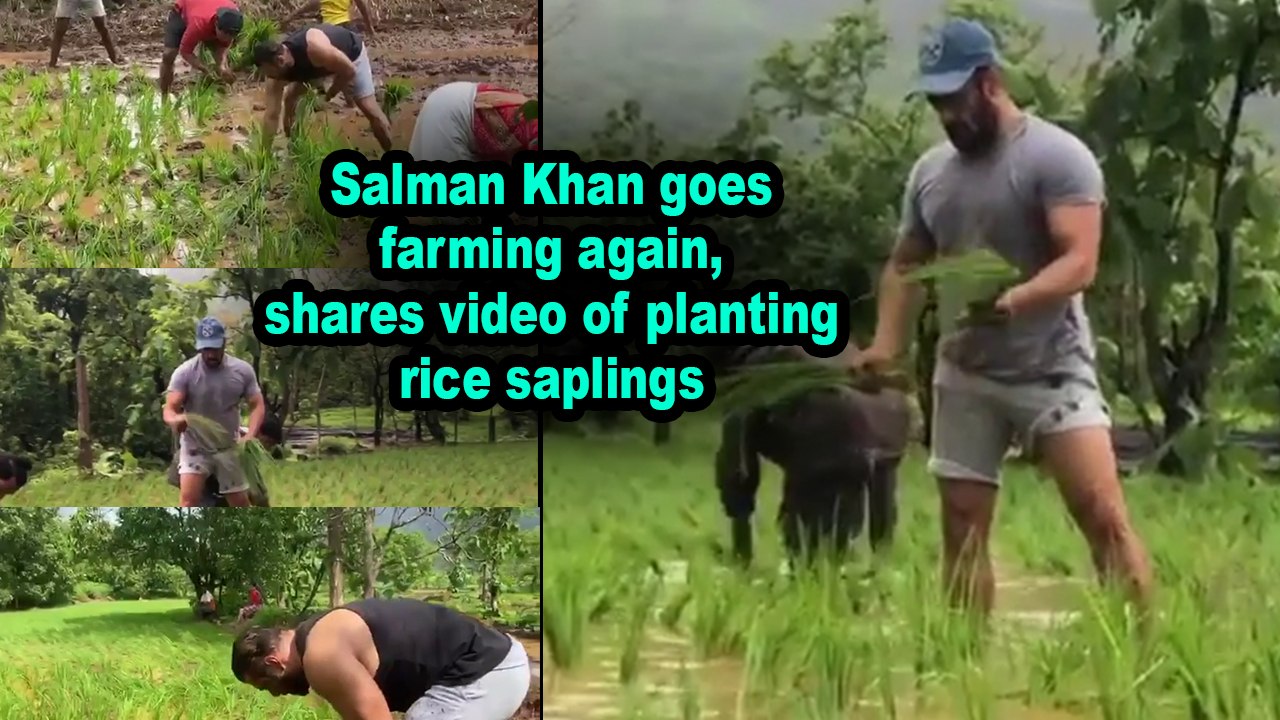 Salman Khan goes farming again, shares video of...