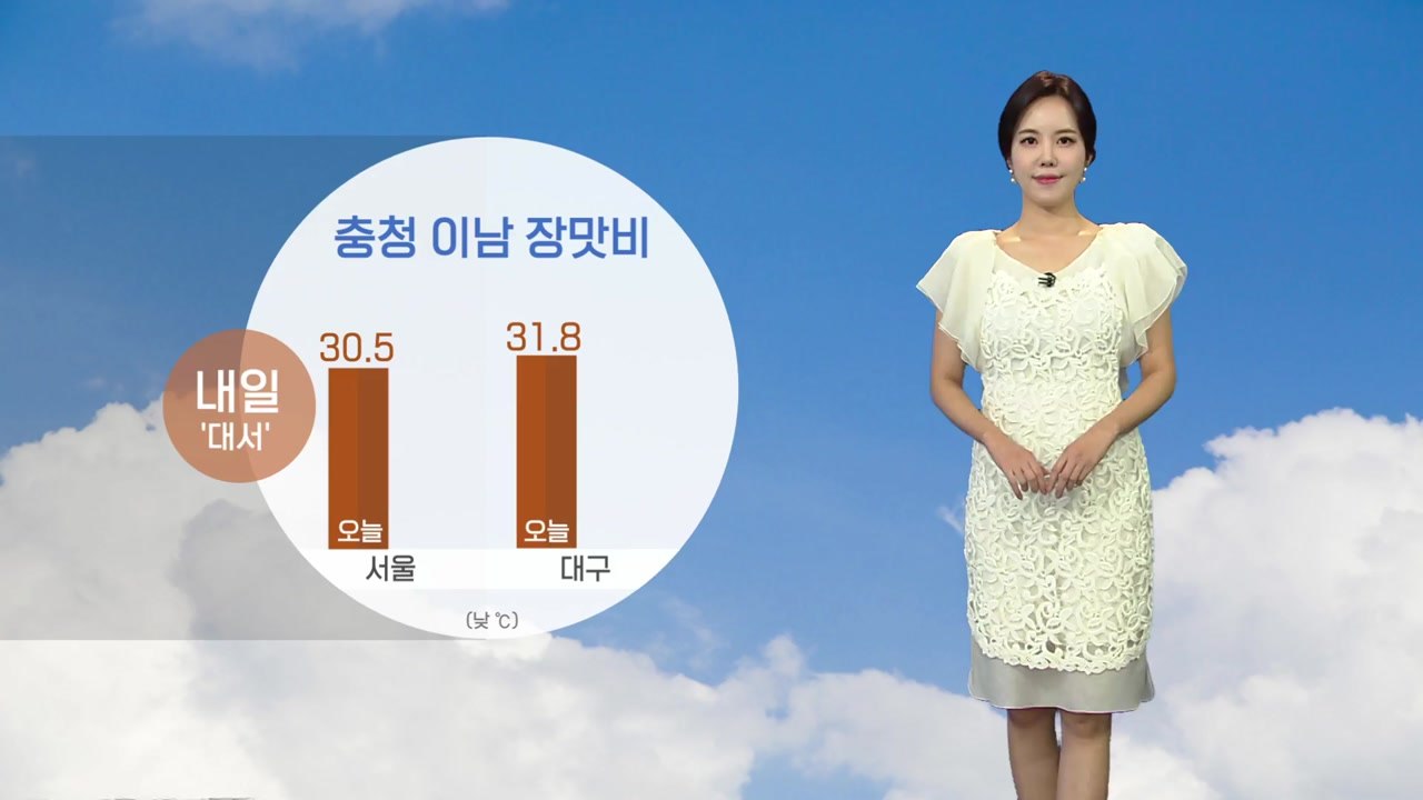 [날씨] 내일 절기 '대서'...충청 이남 장맛비 / YTN