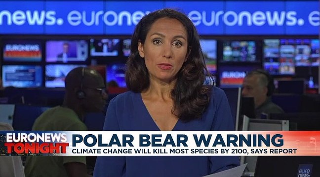 Climate change: Polar bears could be all but extinct by 2100, study warns