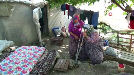 Antalya'da engelli kadının yanan evinden sadece köpeği kurtuldu