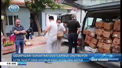 3,5 ton tavuk eti  sokak hayvanlarına dağıtıldı
