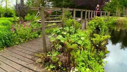 The Instant Gardener episode 9