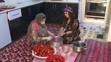 بسبب وفرة الإنتاج وانخفاض الأسعار.. مزارعو الطماطم بكردستان يتكبدون خسائر هائلة