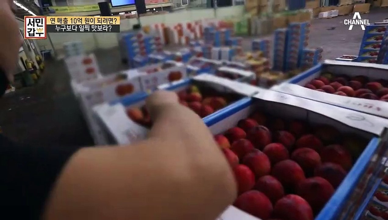 ★연 매출 10억의 비밀★ 일찍 일어난 자가 맛있는 과일을 먹는다?!