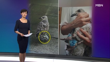 김주하의 7월 21일 '이 한 장의 사진'