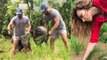 Salman Khan Enjoys Planting Rice With Iulia Vantur And Others At Panvel Farmhouse | Watch Video