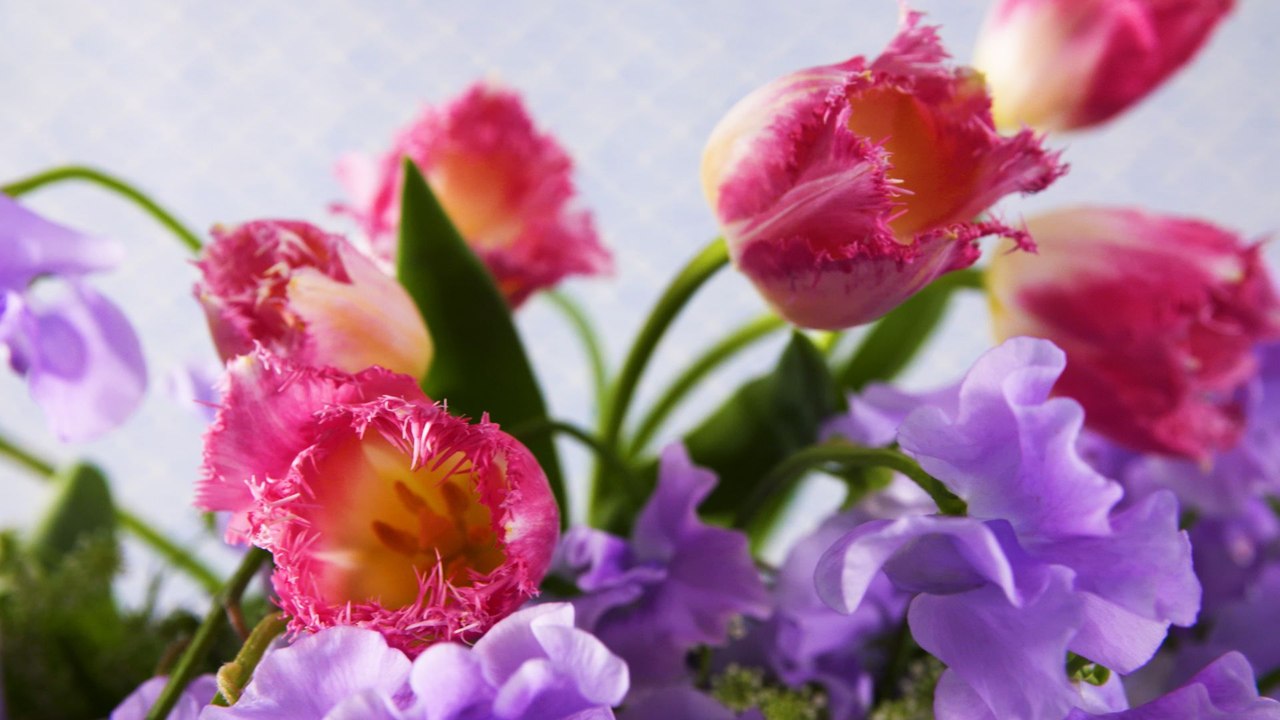 How To Use Queen Anne's Lace 3 Ways