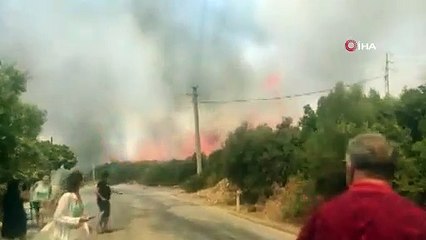 İzmir Seferihisar'da orman yangını
