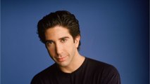 David Schwimmer Reveals 'Friends