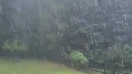 Hail litters backyard during stormy afternoon