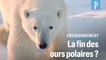 Les ours polaires pourraient disparaître d’ici 2100