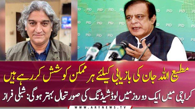 Political recruitment by previous govts destroyed institutions: Shibli Faraz