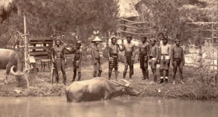 Los secretos del Palacio de Cristal de El Retiro